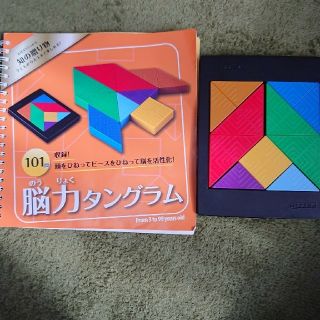 知育パズル 脳力タングラム(知育玩具)