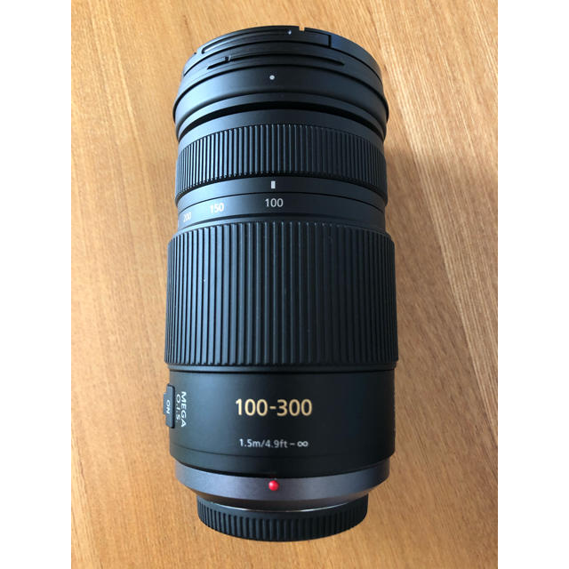 [美品] LUMIX G VARIO 100-300mm/f4.0-5.6