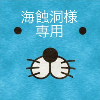 海蝕洞様専用(ピアス)