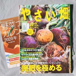 やさい畑  2019年冬号 施肥を極める　別冊付録あり！(専門誌)