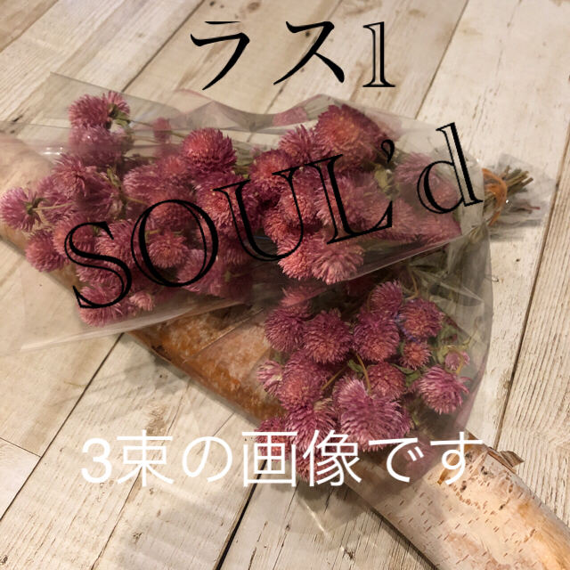 ドライフラワー　センニチコウ　北海道花材 ハンドメイドのフラワー/ガーデン(ドライフラワー)の商品写真