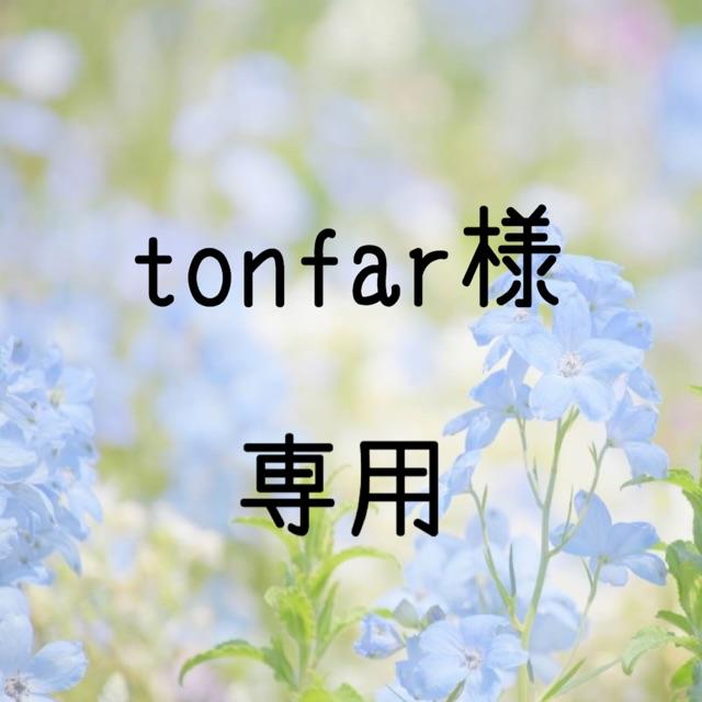 tonfar様専用 お米 令和元年 愛媛県産キヌヒカリ 玄米 30㎏