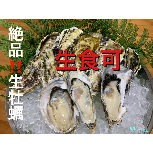 絶品　生牡蠣　カキ　5キロ(約50〜60個)軍手ナイフ付　伊万里湾産　送料無料 食品/飲料/酒の食品(魚介)の商品写真