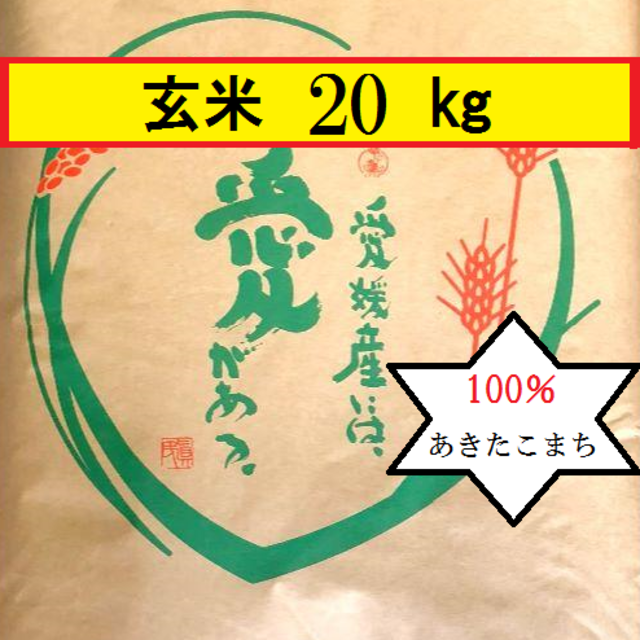 お米　令和元年愛媛県産あきたこまち 玄米　20kg米/穀物