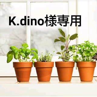 カネボウ(Kanebo)のK.dino様専用(その他)