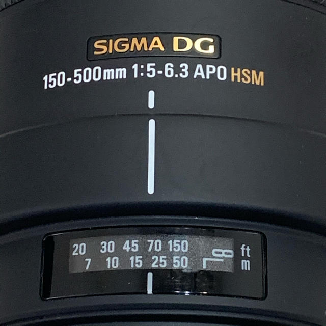 SIGMA APO 150-500mm F5-6.3 (Nikonマウント)