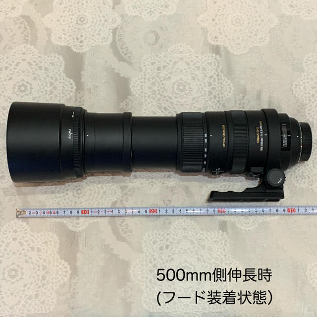 SIGMA APO 150-500mm F5-6.3 (Nikonマウント)
