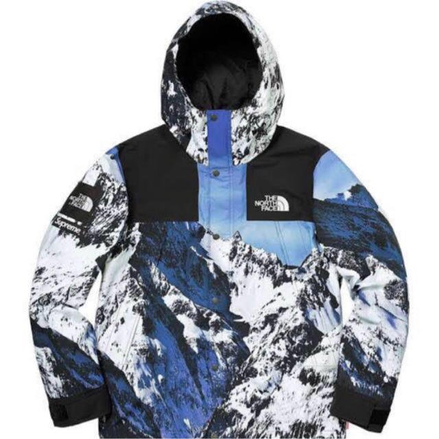 Supreme TNF  Mountain Parka 雪山  S