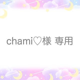 chami様専用(ぬいぐるみ)