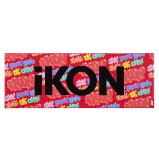 アイコン(iKON)のiKON FAN MEETING 2019 グッズ スポーツタオルREDレッド(K-POP/アジア)