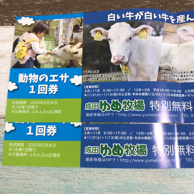 成田ゆめ牧場　特別無料ご招待券　2枚セット チケットの施設利用券(動物園)の商品写真