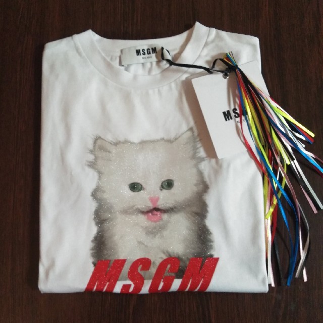 MSGM エムエスジーエム ネコプリント Tシャツ M ブラック | dsmont.com