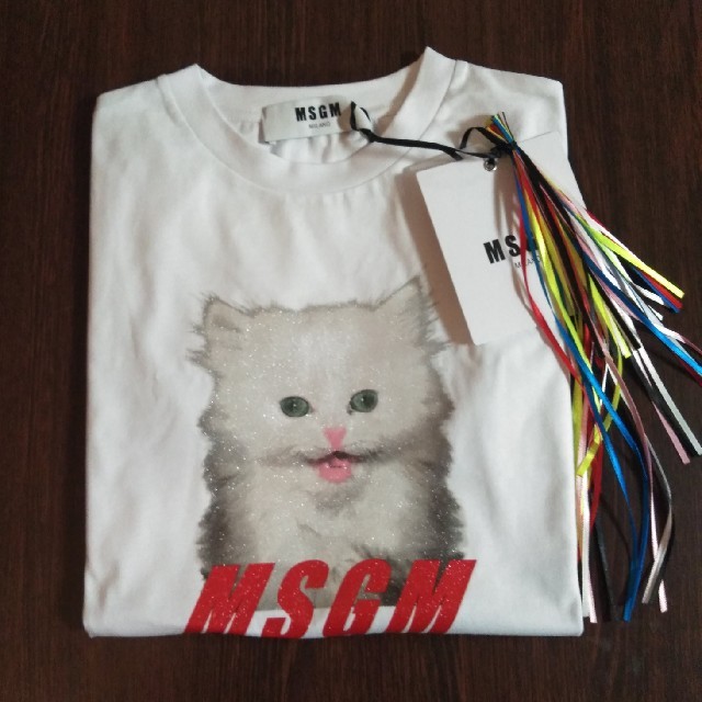 MSGM(エムエスジイエム)のMSGMグラフィックキャット Tシャツ白 XSサイズ 新品 レディースのトップス(Tシャツ(半袖/袖なし))の商品写真