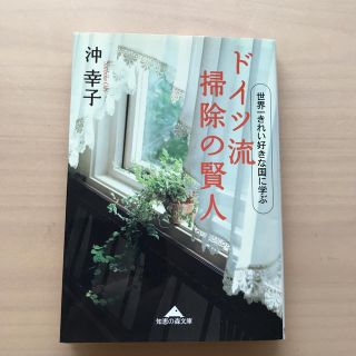 ドイツ流掃除の賢人 世界一きれい好きな国に学ぶ(文学/小説)