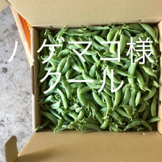 鹿児島産甘スナップエンドウ箱込み2キロ^_^クール(野菜)