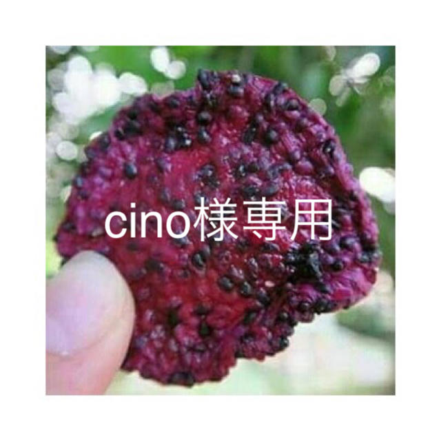 cino様専用 食品/飲料/酒の食品(フルーツ)の商品写真