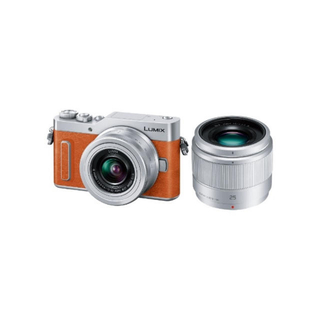 パナソニック(Panasonic)の【よし様専用】LUMIX G DC-GF10W(ミラーレス一眼)