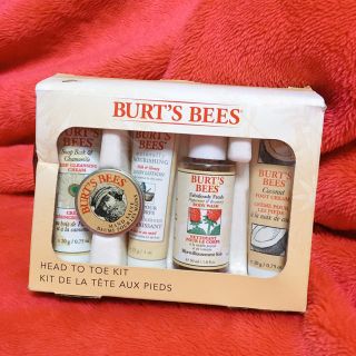 バーツビーズ(BURT'S BEES)のBURT'S BEES キット【新品未開封】(その他)