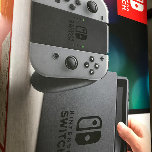 Nintendo Switch JOY-CON グレー 本体  HAC-S-KA