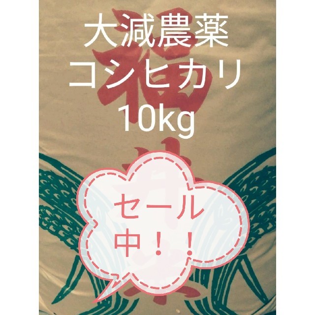 新米コシヒカリ10kg　米/穀物