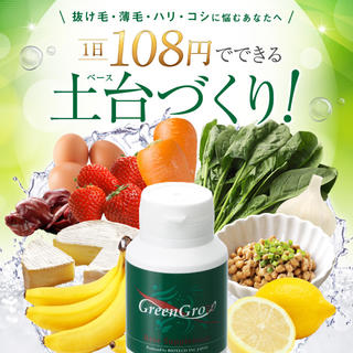 ☆訳あり☆2個セット☆新品 未開封☆バイオテックＧreenGrowベース