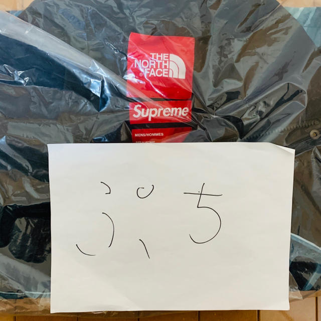 Supreme(シュプリーム)のM Supreme The North Face Mountain Parka メンズのジャケット/アウター(マウンテンパーカー)の商品写真