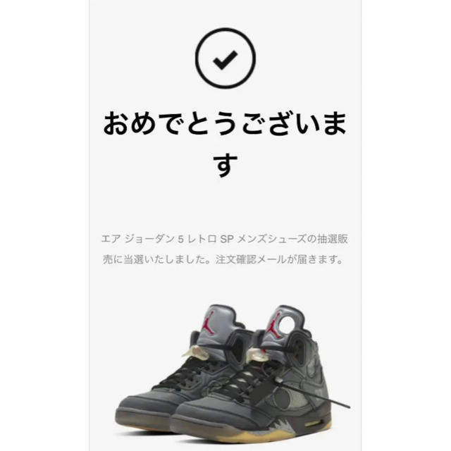 NIKE(ナイキ)のOff-White × Nike Air Jordan 5 29cm メンズの靴/シューズ(スニーカー)の商品写真