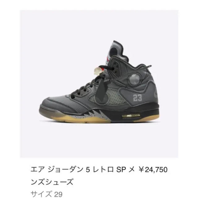 NIKE(ナイキ)のOff-White × Nike Air Jordan 5 29cm メンズの靴/シューズ(スニーカー)の商品写真