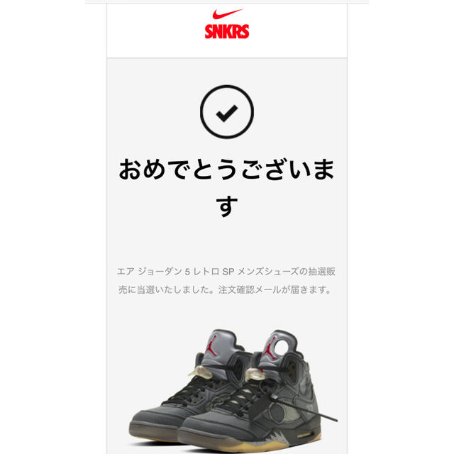 NIKE エアジョーダン5 off-white Air jordan5 27cm