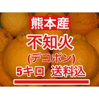 熊本産 不知火（デコポン）訳あり約5キロ 送料込み(フルーツ)