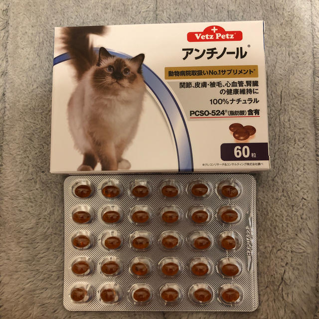 アンチノール 猫用