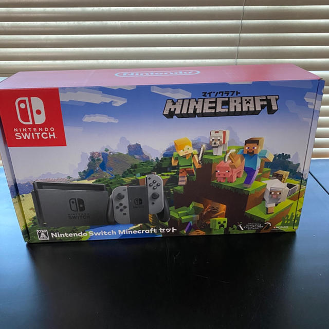 Nintendo Switch Minecraftセット(美品)