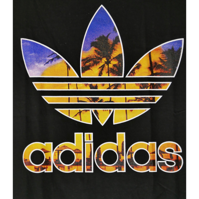 adidas(アディダス)のadidas　アディダス　ビッグロゴ　Mサイズ メンズのトップス(Tシャツ/カットソー(半袖/袖なし))の商品写真