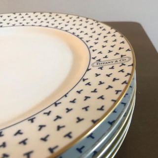 ティファニー(Tiffany & Co.)のNanaさま専用　ティファニー　ダンシングt 大皿(食器)