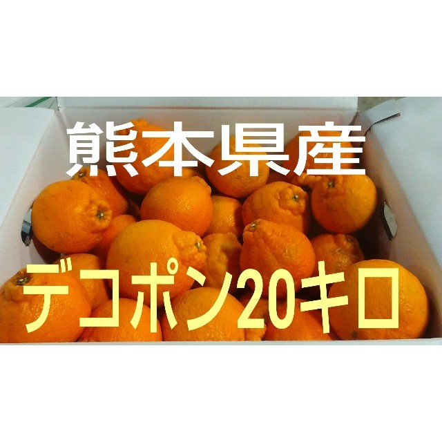 熊本県産デコポン20キロ家庭用