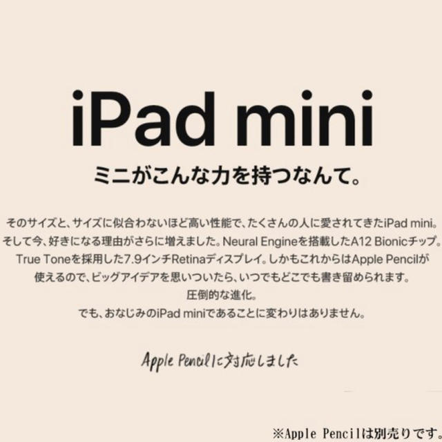 iPad mini5 MUQX2J/A 第5世代 Wi-Fi 64GB