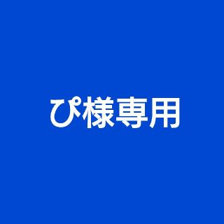 ぴ様専用(その他)