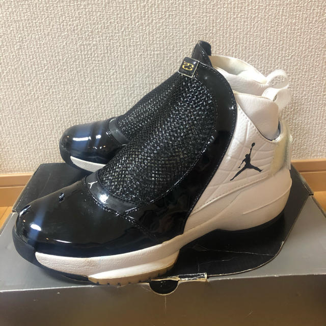 NIKE AIR JORDAN XIX シューズ袋付き