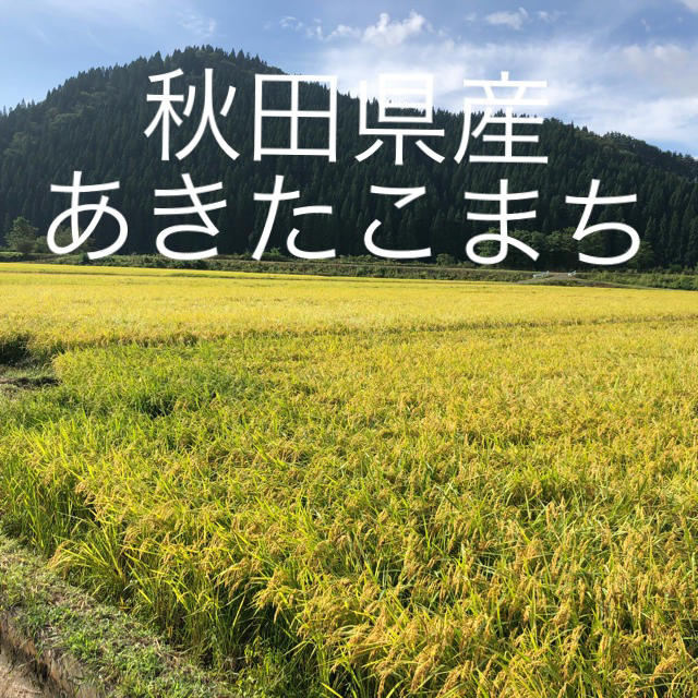 （totoroさん専用）秋田県産　2019年産　あきたこまち　玄米　60kg  食品/飲料/酒の食品(米/穀物)の商品写真