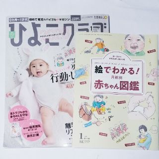 ひよこクラブ 2020年 01月号（付録付き）(生活/健康)