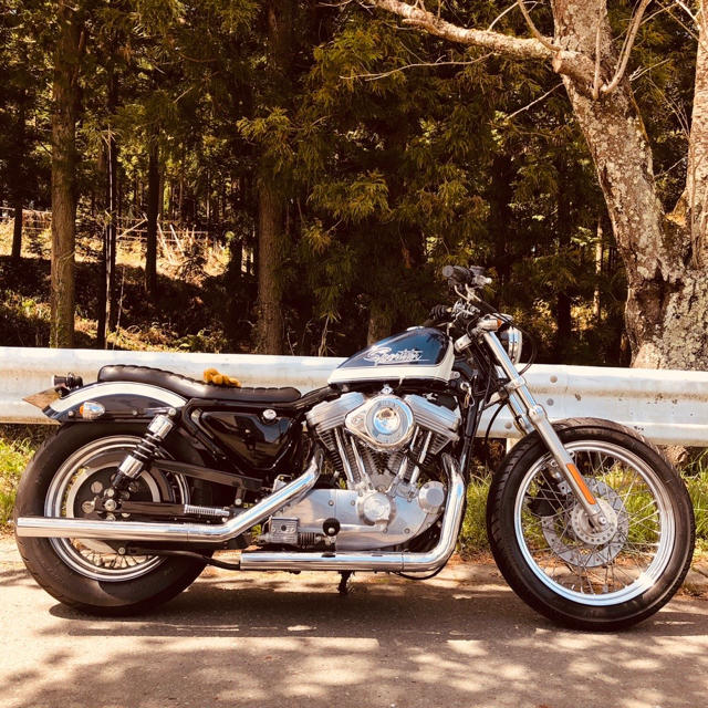 Harley Davidson - ハーレーダビットソン スポーツスター XLH883ハガー