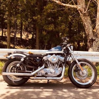 ハーレーダビッドソン(Harley Davidson)のハーレーダビットソン　スポーツスター　XLH883ハガー　2003年アニバーサリ(車体)