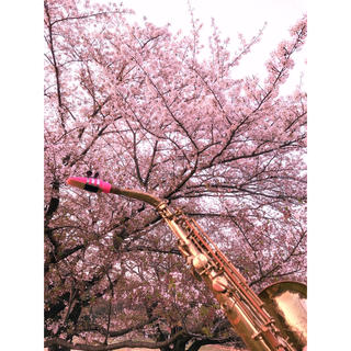 CE Winds ”Five Spot Jazz” pink alto(サックス)