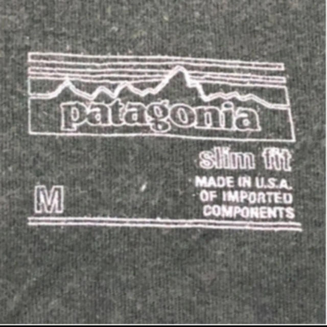 patagonia(パタゴニア)のパタゴニア　Tシャツ　Mサイズ レディースのトップス(Tシャツ(半袖/袖なし))の商品写真