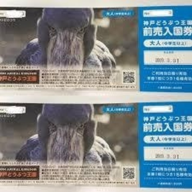 神戸どうぶつ王国 ペアチケット チケットの施設利用券(動物園)の商品写真