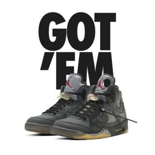 ナイキ(NIKE)のNIKE off-white Air jordan5  24.5cm(スニーカー)