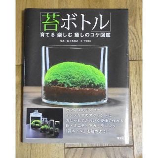 苔ボトル　育てる　楽しむ　癒しのコケ図鑑(その他)