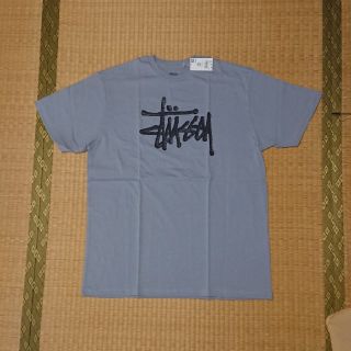 ステューシー(STUSSY)のSTUSSYの半袖Tシャツ サイズXL 未使用品(Tシャツ/カットソー(半袖/袖なし))