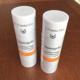 ドクターハウシュカ(Dr.Hauschka)の新品未使用✨ドクターハウシュカ　リップクリーム2本(リップケア/リップクリーム)