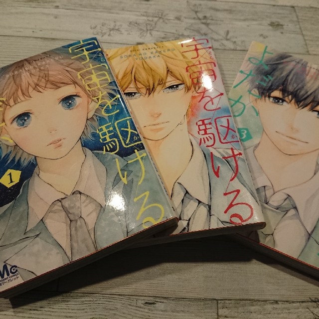 宇宙 そら を駆けるよだか 単行本全巻3冊の通販 By Jj S Shop ラクマ 宇宙 そら を駆けるよだか 単行本全巻3冊の通販 By Jj S Shop ラクマ